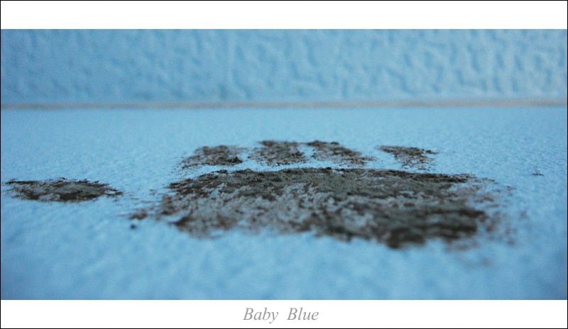 Baby_Blue_von_Mo.jpg