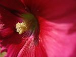img_7806.jpg