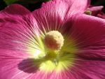 img_7817.jpg
