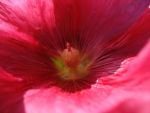 img_7830.jpg