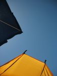 img_8256.jpg