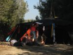 img_8315.jpg