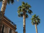 img_8319.jpg