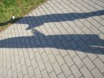 100_0822.jpg