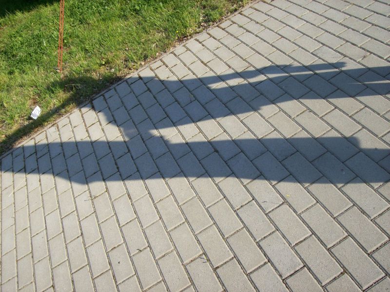 100_0823.jpg