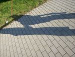 100_0823.jpg