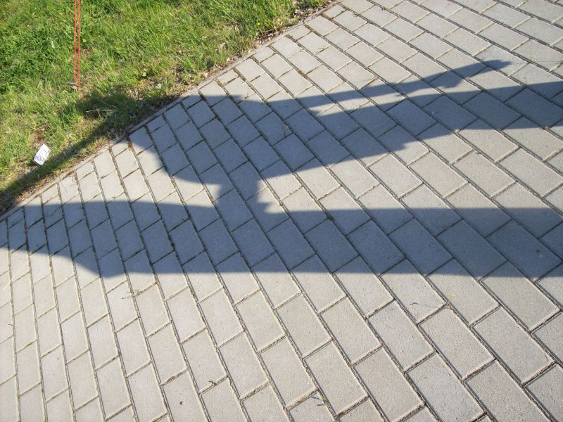 100_0824.jpg