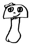 funghi.jpg