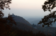 Drachenfels vom Petersberg am Abend