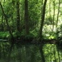 Spessart