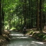 Spessart