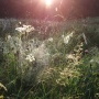 Spessart